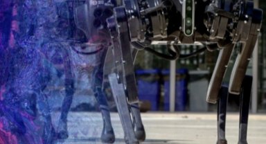 Türkiye markaları İstanbul'da buluşacak