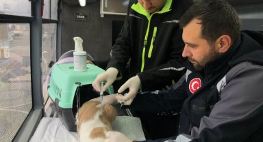 VETBÜS yola Savaştepe'den başladı