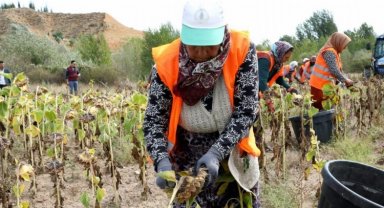 Belediye 2022'de Çankırı için çalıştı