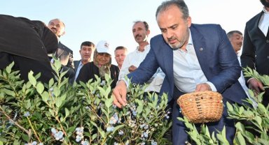 Bursa Büyükşehir tarlada üreticiye nefes oldu