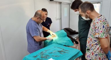 Bursa Osmangazi'de 7 bin 87 can dost şifa buldu