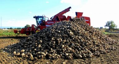 Bursa Yenişehirli çiftçi pancar ekimine yöneliyor