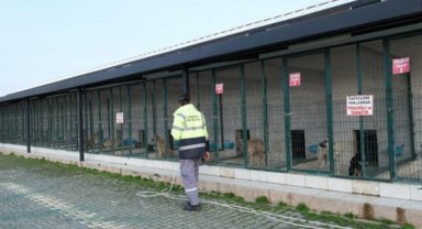 Bursa'da can dostları İnegöl ile güvende