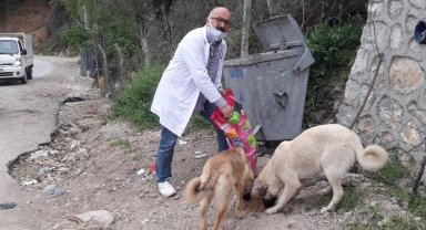 Bursalı veterinerden 'bir kap su, bir kap mama' çağrısı