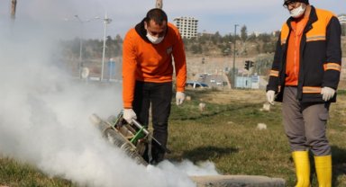 Büyükşehir vektör ile mücadelede işi sıkı tutuyor