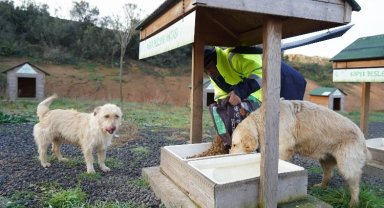 Çayırova sevimli dostlarının yanında