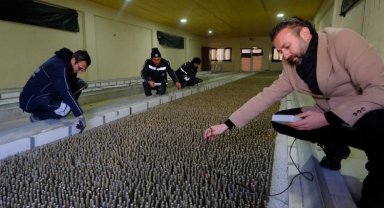 Eskişehir, Bursa'nın elinden İpek Böcekciliği'ni mi alıyor?