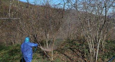 FINVER projesine yoğun ilgi