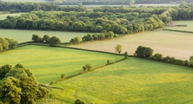 Hazine arazileri 'enerji' verecek