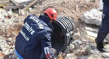 Herkes gerçek sandı, öğrenciler tatbikat yaptı