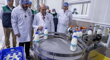 İzmirliler sütü ucuza içecek