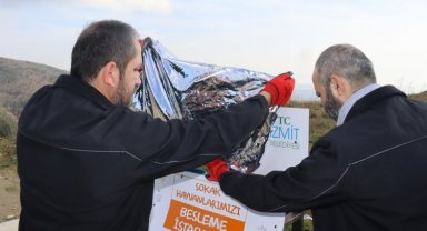 İzmit Belediyesi can dostlarını unutmadı