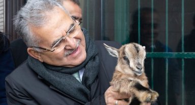 Kayseri'de hayvanat bahçesine yoğun ilgi