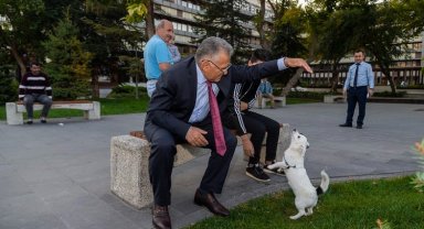 Kayseri'de sokak hayvanlarına 'büyük' destek