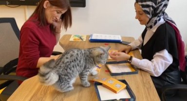 Kayseri'de yaşam merkezine 'Şeker' misafir