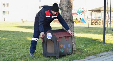 Kedilerin sıcak evi Bursa Mustafakemalpaşa'dan