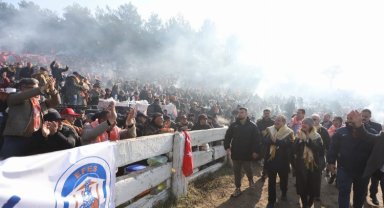 Onbinlerce deve tutkunu Efes Selçuk'ta buluştu
