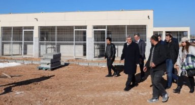 Sokak hayvanlarına sıcak yuva