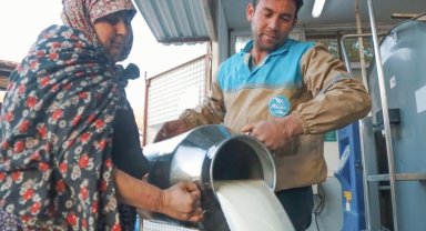 Süt üretimi yüzde 6 azaldı!