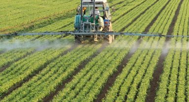 Tarım devi Ege Bölgesi 2022'de de zirvede