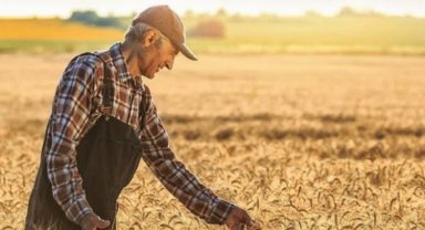 Tarım-ÜFE yüzde 151 arttı