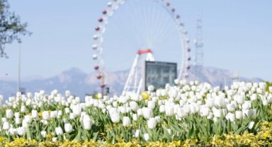 Üreterek 4 yılda toplam 61 milyon liralık tasarruf