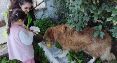 14 yaşındaki depremzede Ege'nin hayvanseverliği takdir topladı