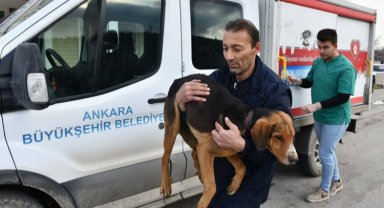 ABB'den kısırlaştırma rekoru