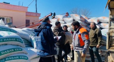 Afet bölgesindeki üreticilere yem desteği