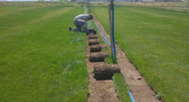 Belediye çim üretiyor, vatandaş kazanıyor