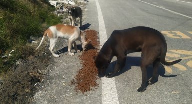 Bursa Hatay'da da her cana yetişmeye çalışıyor