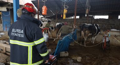 Bursa İtfaiyesi, Hatay'da besicilere jeneratörüyle destek oldu