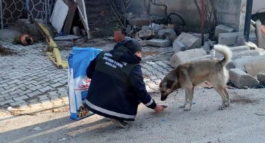 Bursa Osmangazi'den afet bölgesindeki can dostları unutmadı