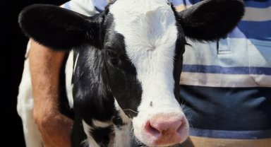 Bursa Yenişehir'de destekleme listeleri askıya çıktı