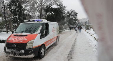 Büyükşehir sokak hayvanlarını unutmadı