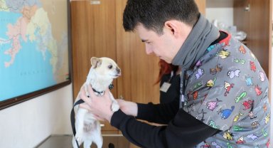 Deprem bölgesinden getirilen Karamel moral oldu