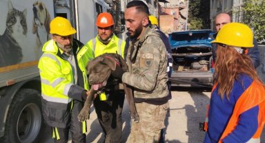 Depremden etkilenen hayvanlar unutulmadı