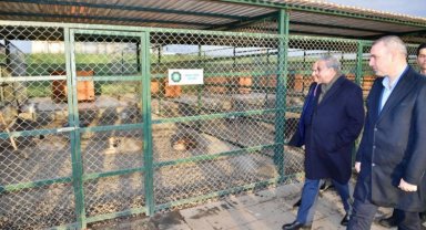 Diyarbakır'da hayvan bakımevine yakın takip