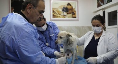 Enkaz altında kalan Hataylı 'Afet', Gaziantep tedavisinde