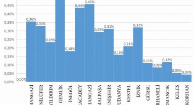Eylem planında kadın şiddet gerçeği