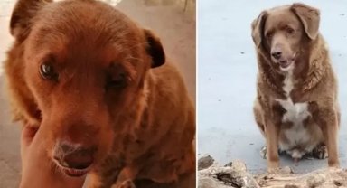 Gelmiş geçmiş dünyanın en yaşlısı!