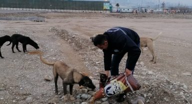 Manisa afet bölgesindeki can dostlarını unutmadı