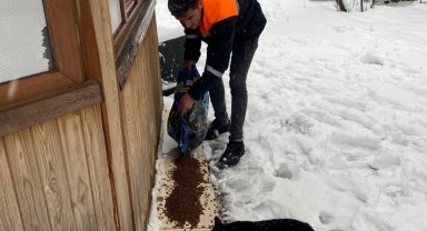 Mardin Büyükşehir'den can dostlara mama desteği