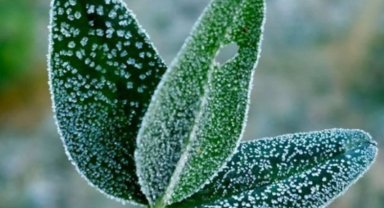 Meteoroloji'den don ve çığ uyarısı