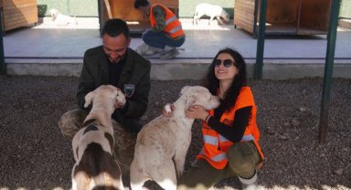 Paw Guards üyelerinden Diyarbakır'a yakın mercek