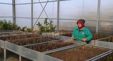 Rize'nin serasında fidan ve bitki satışları sürüyor