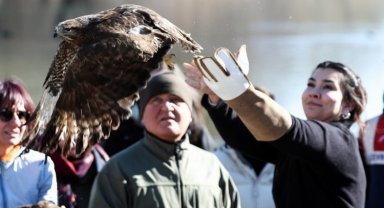 Şahinler hem sağlığına, hem de özgürlüğüne kavuştu