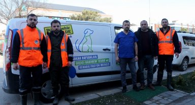 Sakarya enkazdan kurtarılan can dostlara şifa olacak