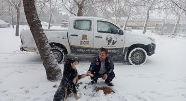 Sokak hayvanları unutulmadı
