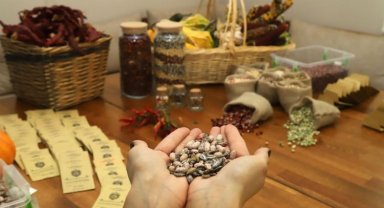 Tohum takas günleri başlıyor